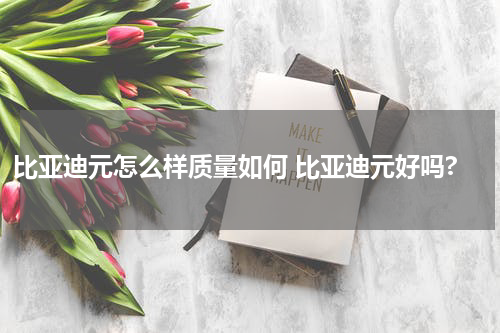 比亚迪元怎么样质量如何 比亚迪元好吗?