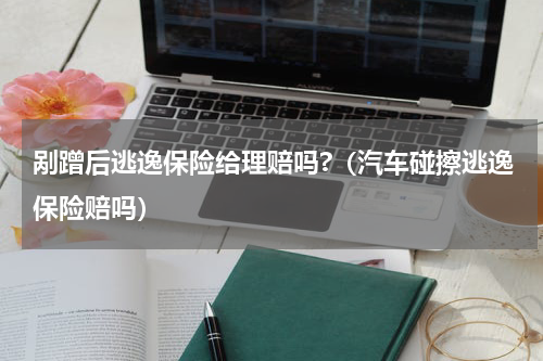 剐蹭后逃逸保险给理赔吗?（汽车碰擦逃逸保险赔吗）