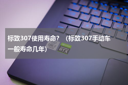 标致307使用寿命？（标致307手动车一般寿命几年）