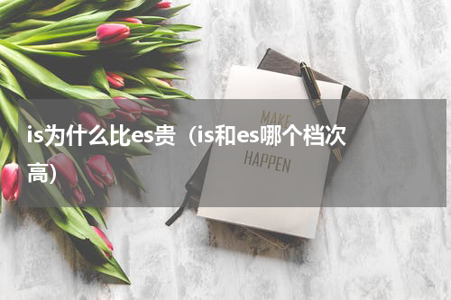is为什么比es贵（is和es哪个档次高）
