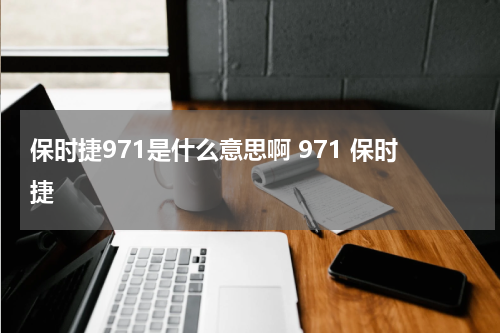 保时捷971是什么意思啊 971 保时捷