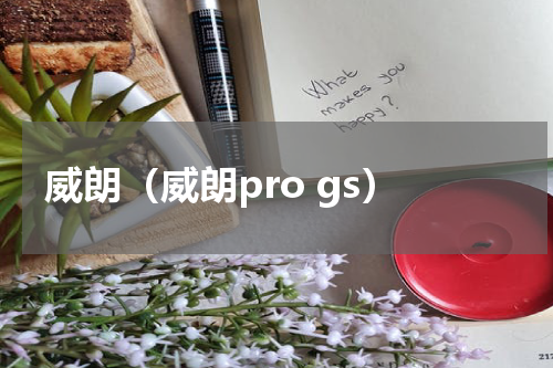 威朗(威朗pro gs)