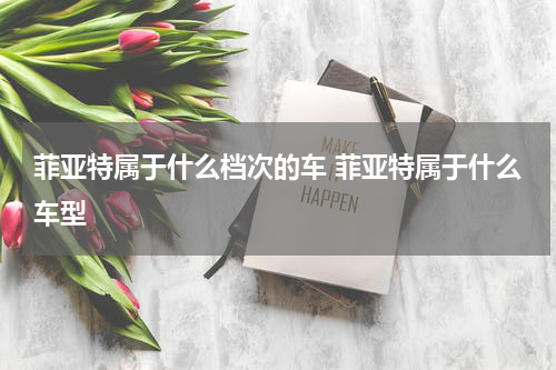 菲亚特属于什么档次的车 菲亚特属于什么车型