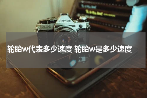 轮胎w代表多少速度 轮胎w是多少速度