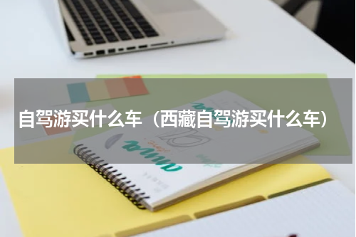 自驾游买什么车（西藏自驾游买什么车）
