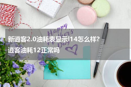 新逍客2.0油耗表显示l14怎么样? 逍客油耗12正常吗
