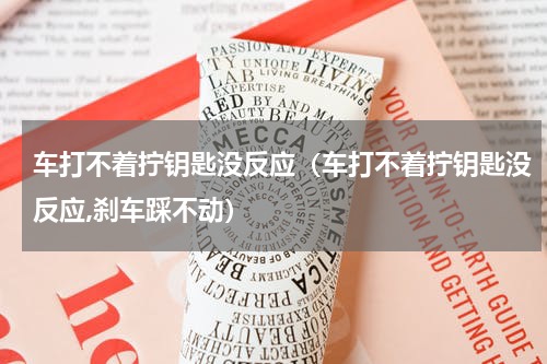 车打不着拧钥匙没反应（车打不着拧钥匙没反应,刹车踩不动）