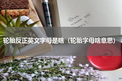 轮胎反正英文字母是啥（轮胎字母啥意思）