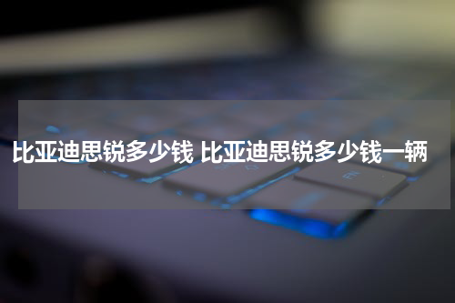 比亚迪思锐多少钱 比亚迪思锐多少钱一辆