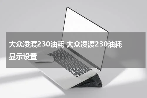 大众凌渡230油耗 大众凌渡230油耗显示设置
