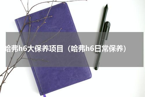 哈弗h6大保养项目（哈弗h6日常保养）