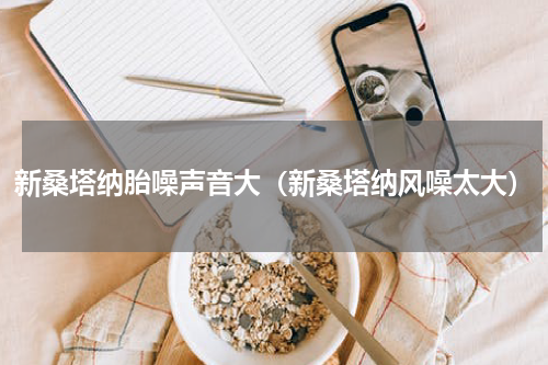 新桑塔纳胎噪声音大（新桑塔纳风噪太大）
