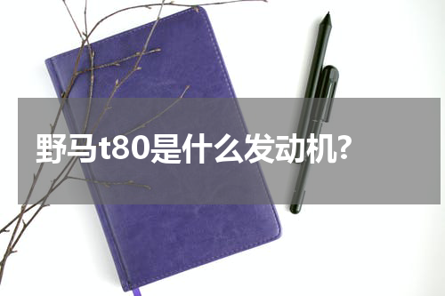 野马t80是什么发动机?