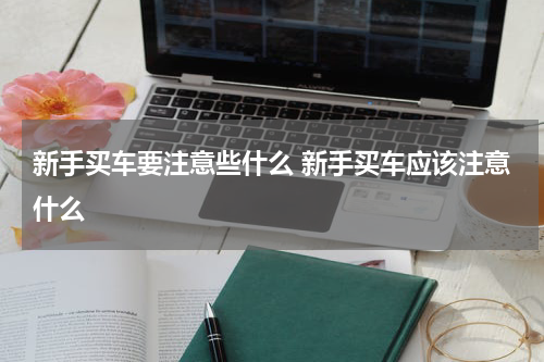 新手买车要注意些什么 新手买车应该注意什么