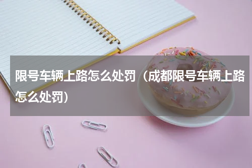 限号车辆上路怎么处罚（成都限号车辆上路怎么处罚）