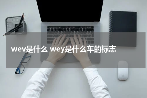 wev是什么 wey是什么车的标志