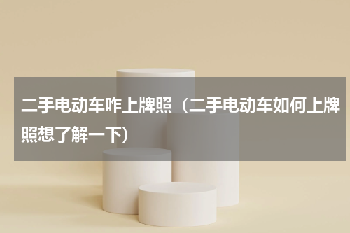 二手电动车咋上牌照（二手电动车如何上牌照想了解一下）