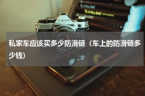 私家车应该买多少防滑链（车上的防滑链多少钱）