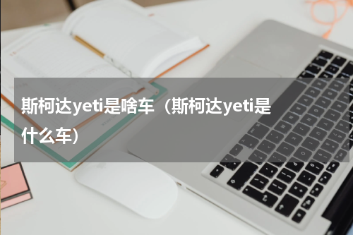 斯柯达yeti是啥车（斯柯达yeti是什么车）