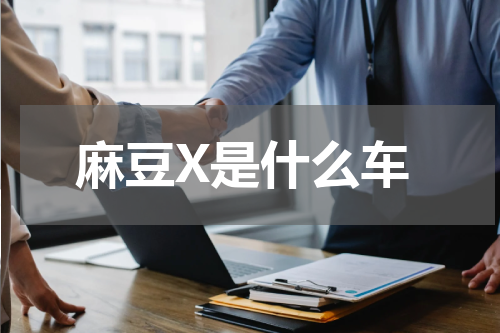 麻豆X是什么车