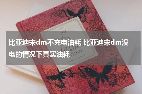 比亚迪宋dm不充电油耗 比亚迪宋dm没电的情况下真实油耗