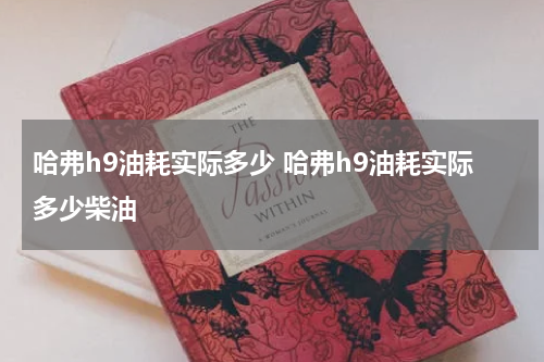 哈弗h9油耗实际多少 哈弗h9油耗实际多少柴油