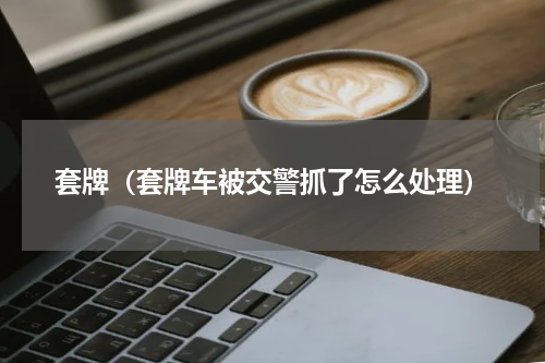 套牌（套牌车被交警抓了怎么处理）
