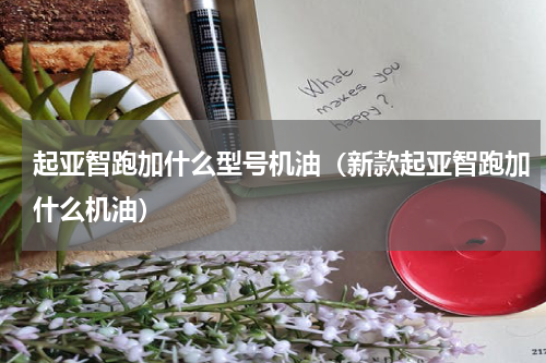 起亚智跑加什么型号机油（新款起亚智跑加什么机油）