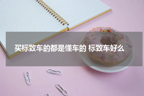 买标致车的都是懂车的 标致车好么