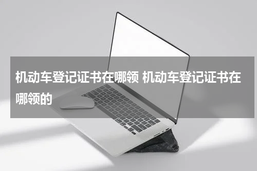 机动车登记证书在哪领 机动车登记证书在哪领的