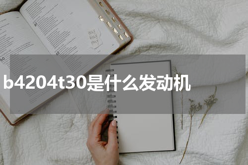b4204t30是什么发动机