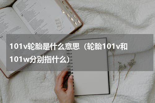 101v轮胎是什么意思（轮胎101v和101w分别指什么）
