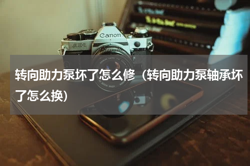 转向助力泵坏了怎么修（转向助力泵轴承坏了怎么换）