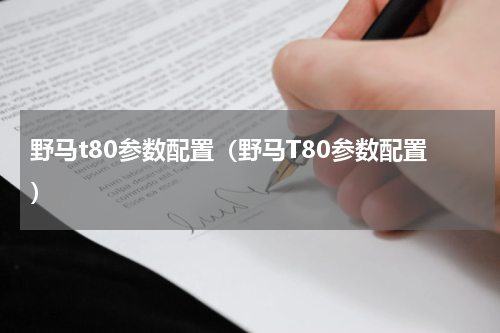 野马t80参数配置（野马T80参数配置）