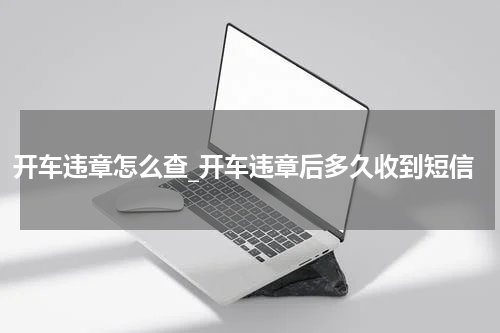 开车违章怎么查_开车违章后多久收到短信