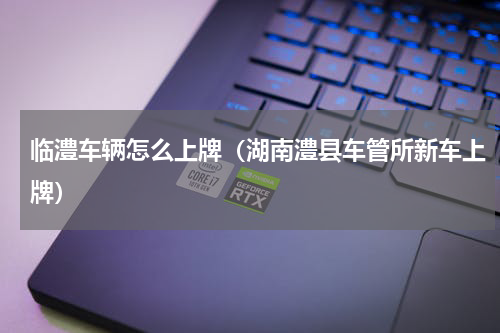 临澧车辆怎么上牌（湖南澧县车管所新车上牌）