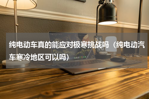 纯电动车真的能应对极寒挑战吗（纯电动汽车寒冷地区可以吗）