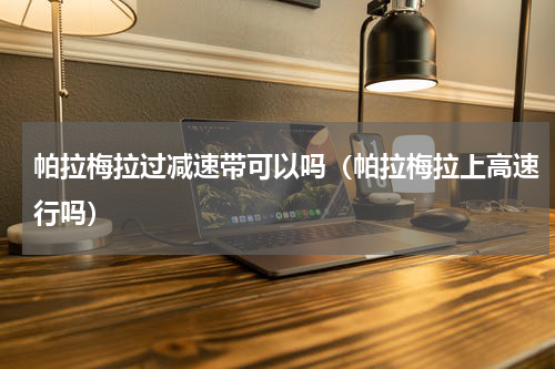 帕拉梅拉过减速带可以吗（帕拉梅拉上高速行吗）