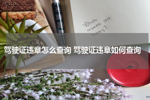 驾驶证违章怎么查询 驾驶证违章如何查询