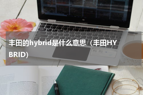 丰田的hybrid是什么意思（丰田HYBRID）