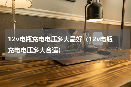 12v电瓶充电电压多大最好（12v电瓶充电电压多大合适）