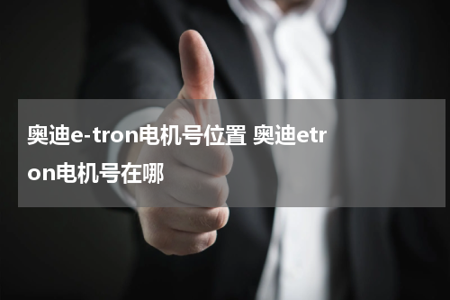 奥迪e-tron电机号位置 奥迪etron电机号在哪