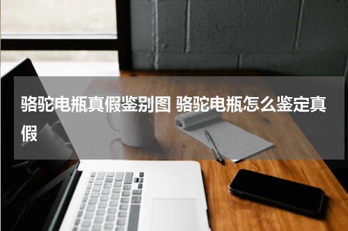 骆驼电瓶真假鉴别图 骆驼电瓶怎么鉴定真假