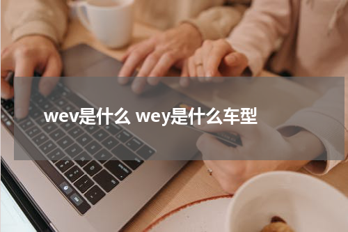 wev是什么 wey是什么车型