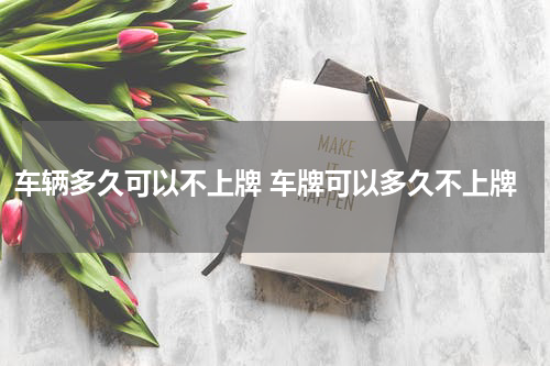 车辆多久可以不上牌 车牌可以多久不上牌