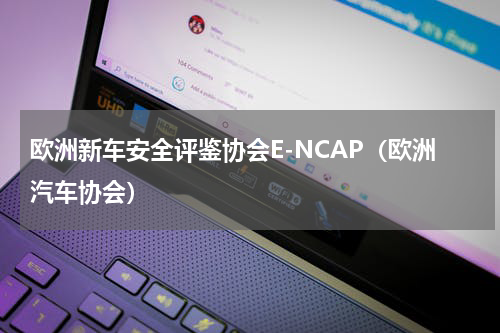 欧洲新车安全评鉴协会E-NCAP（欧洲汽车协会）