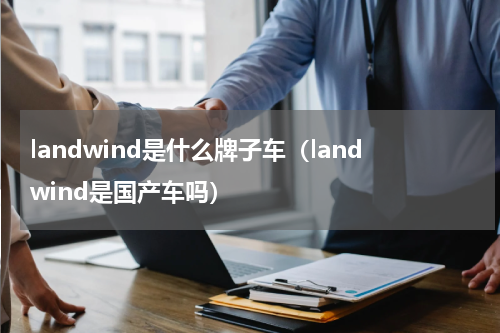 landwind是什么牌子车（landwind是国产车吗）