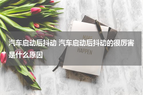 汽车启动后抖动 汽车启动后抖动的很厉害是什么原因