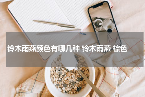 铃木雨燕颜色有哪几种 铃木雨燕 棕色