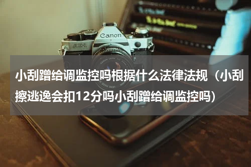 小刮蹭给调监控吗根据什么法律法规（小刮擦逃逸会扣12分吗小刮蹭给调监控吗）
